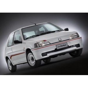 COMPLETE EXHAUST CENTRAL AND TERMINAL MANIFOLD FOR PEUGEOT 106 RALLY STAINLESS STEEL