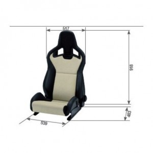 RECARO NURBURGRING SPORTSTER CS SEAT COPILOT RACING LEATHER BLACK / RED