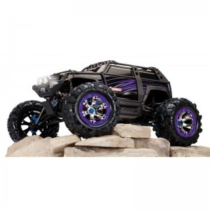 Traxxas Summit TXX56076-4 automodello 4wd electric monster truck