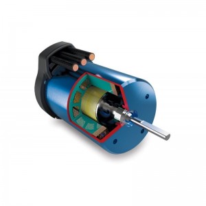 Traxxas Rustler Txx67076-4 Automodello Vxl 4Wd Brushless Tsm