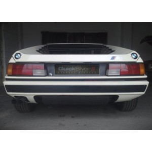 Scarico In Acciaio Inossidabile Bmw M1 1978-79 Quicksilver