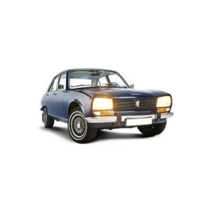 Scarico In Acciaio Inossidabile Peugeot 504 Coupe Cabrio V6 1975-83 Quicksilver