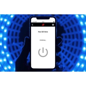 Sportauspuff mit Sound Architect™ Porsche Cayenne V6 3.0 2019 auf Quicksilver